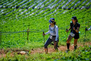 BIB: 
                            <button type="button" onclick="openModal(19164622)" class="btn btn-primary btn-sm float-right btn-popup" data-toggle="modal" data-target=".modal-high-quality">
                        <i class="fas fa-shopping-cart"></i> Add to Cart
                    </button>
                                            <button type="button" onclick="isThisMe(19164622, true)" class="btn btn-success btn-sm float-right btn-popup btn-isme hidden" data-toggle="tooltip" data-placement="bottom" title="นี่คือรูปของคุณใช่ไหม คลิกที่นี่เพื่อเอาเข้าอัลบั้ม">
                        <i class="fas fa-plus"></i> Add to album
                    </button>
                    <button type="button" onclick="isThisMe(19164622, false)" class="btn btn-warning btn-sm float-right btn-popup btn-isnotme hidden">
                        <i class="fas fa-ban"></i> Remove from album
                    </button>